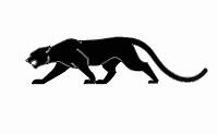 فروشگاه جگوار | Jaguarteam